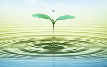 網(wǎng)絡(luò)輿情監(jiān)測